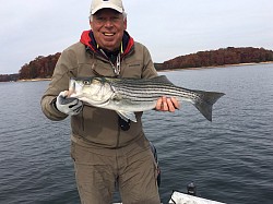 Stripers & Spotted Bass