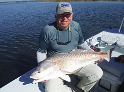 Redfish (45 inches, 35+#)