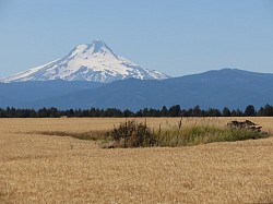 Mt. Hood, OR near the Deschutes River