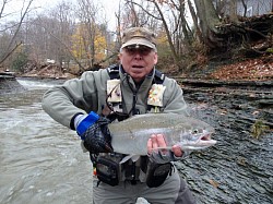 Great Lakes Steelhead