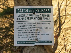 We support Catch and Release