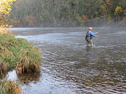 Fall on the South Holsten River, TN