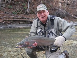 Lake Erie Trib Steelhead