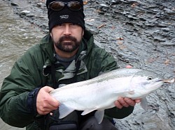 Lake Erie, PA Steelhead
