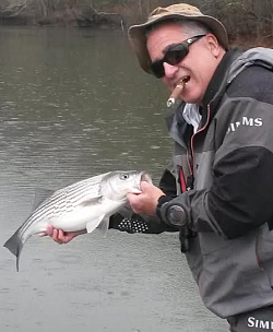 Early March Striper!