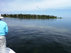 Blacks Island