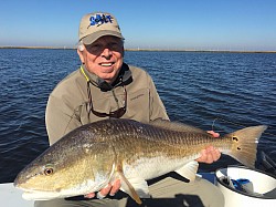 Louisiana Redfish