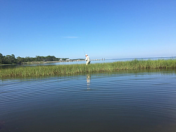 Stalking Redfish