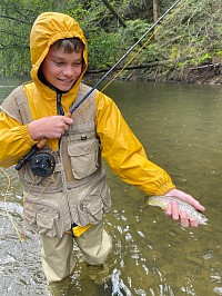 NYS Wild Brown Trout