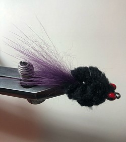 Black & Purple Saltwater Crab
