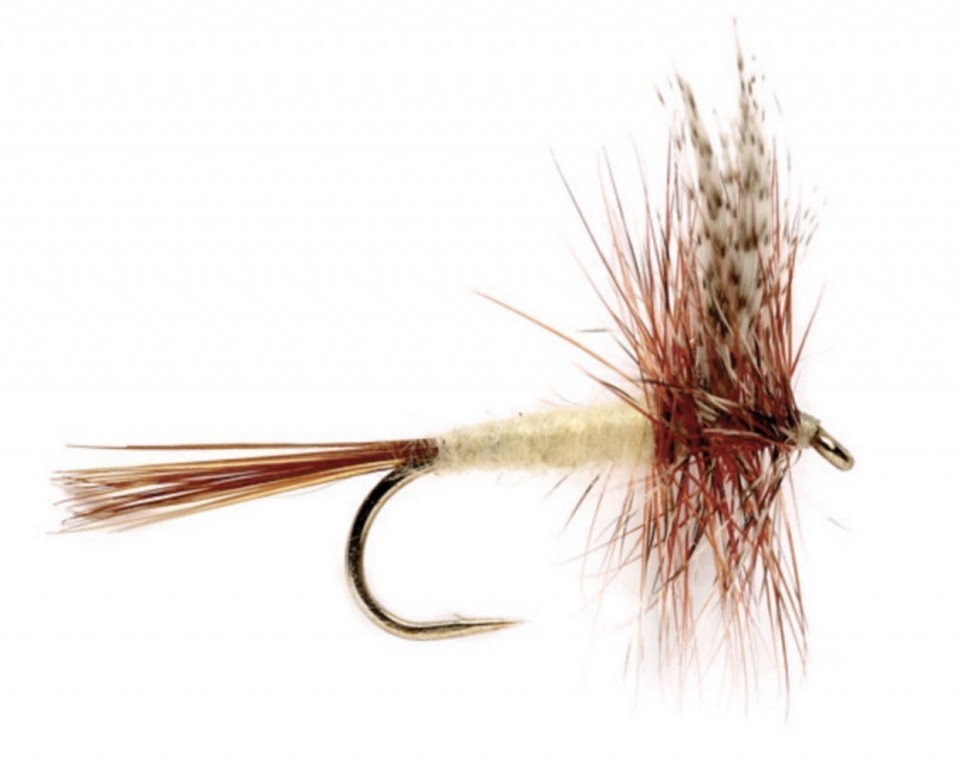 It’s time to start fishing dry flies in North Georgia and North Carolina.