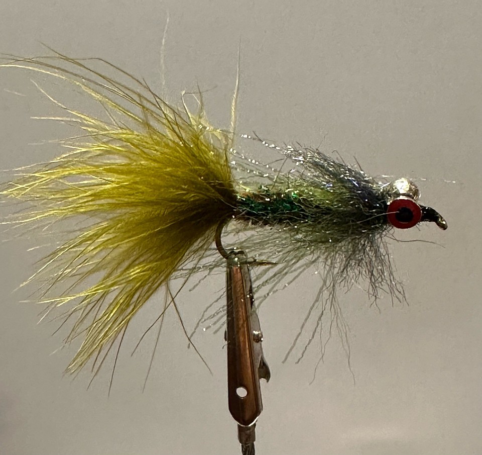 Warmwater species devour “bugs” like this during the summer months.
