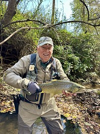 North Georgia Brown Trout