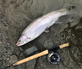 Contact Nymphing for Steelhead